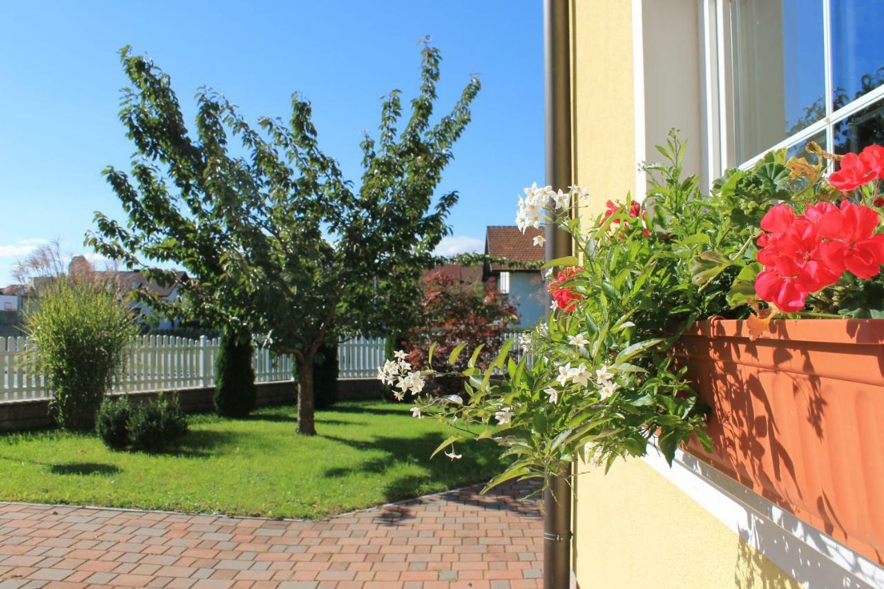 Yellow Dreamhouse Postojna Εξωτερικό φωτογραφία