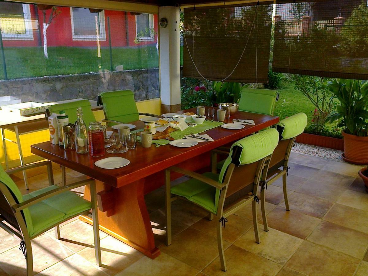 Yellow Dreamhouse Postojna Εξωτερικό φωτογραφία